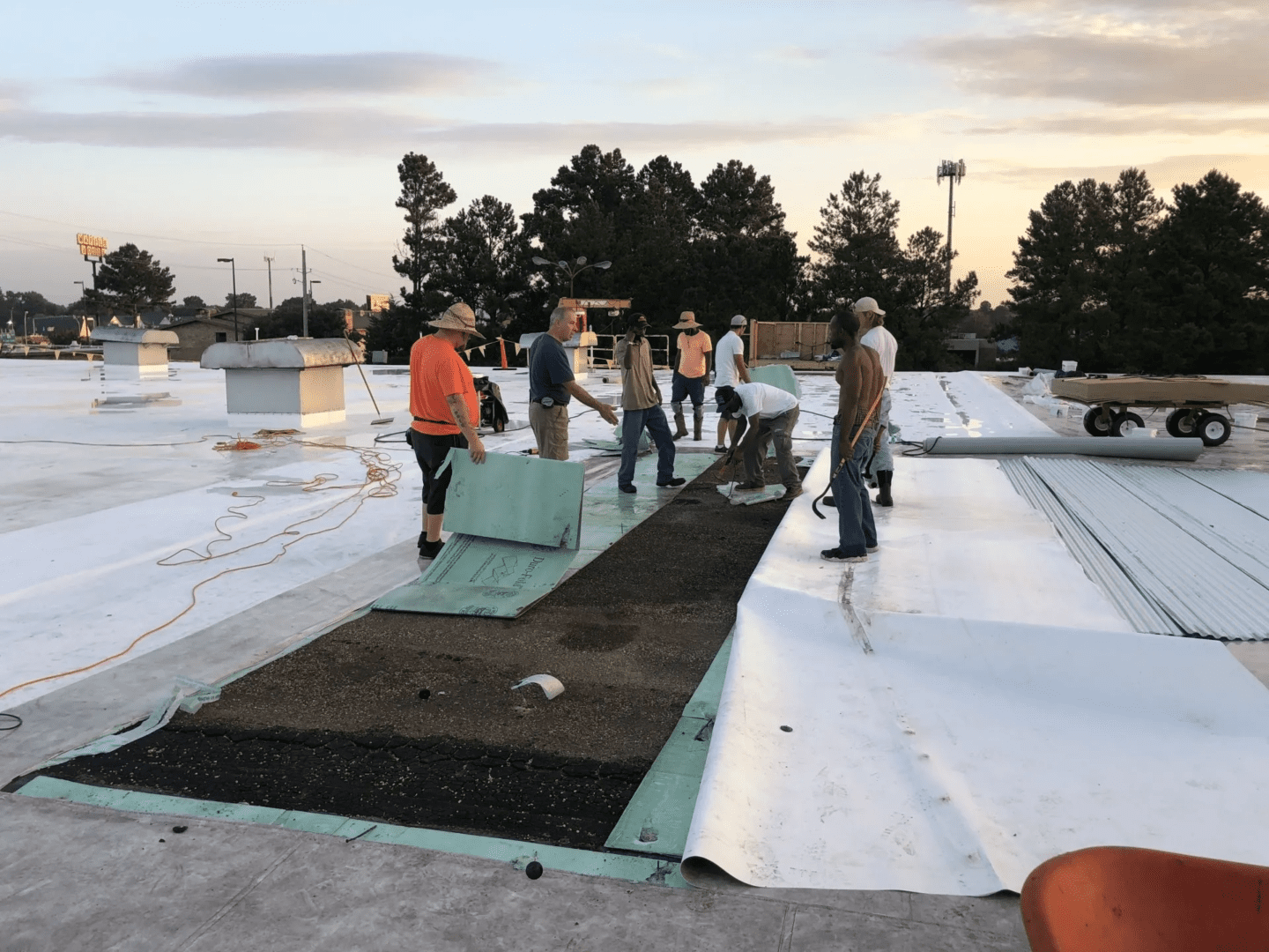 2019-07-0206.33.13-1920w