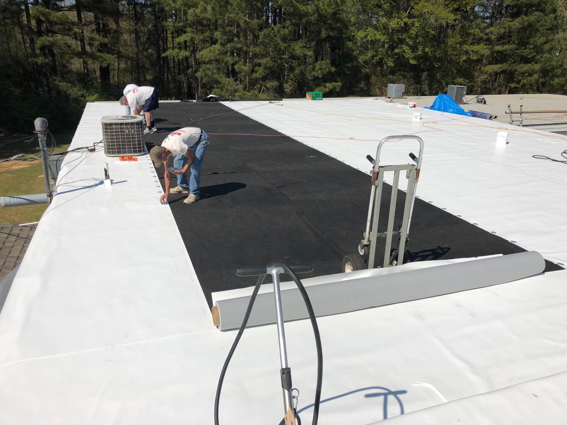 311704157_463418939100934_7225314574959975017_n