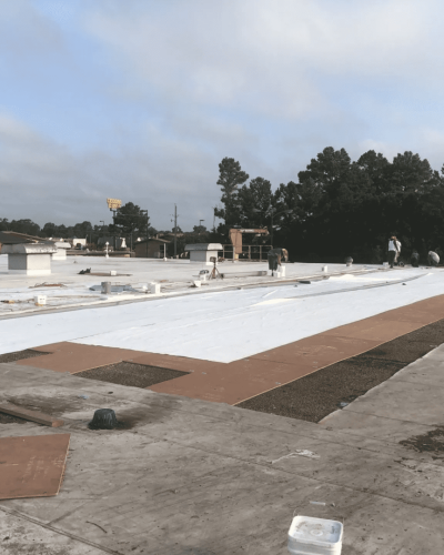 2019-07-1107.59.11-1920w